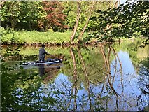H4772 : Paddle boarding along the Camowen River by Kenneth  Allen