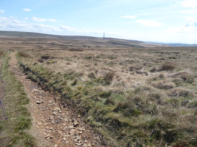 The Pennine Way near Moss Slack