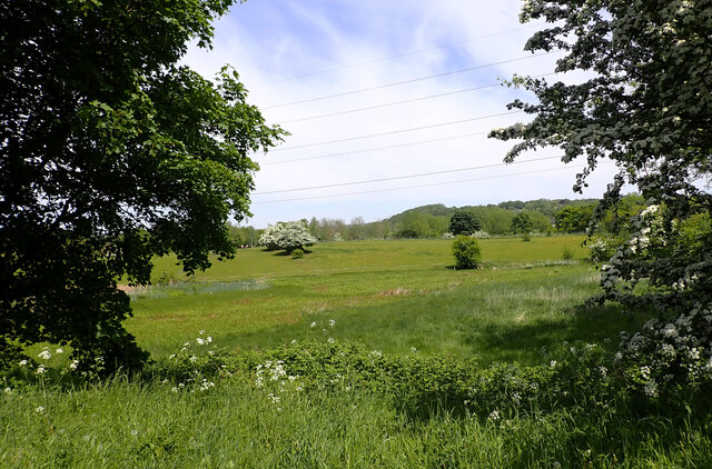 A field near Dobson Locks, Leeds and Liverpool Canal, Apperley Bridge