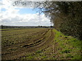 Public footpath east of Lower Sheering (2)