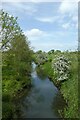 Costa Beck from Kirby Misperton Bridge