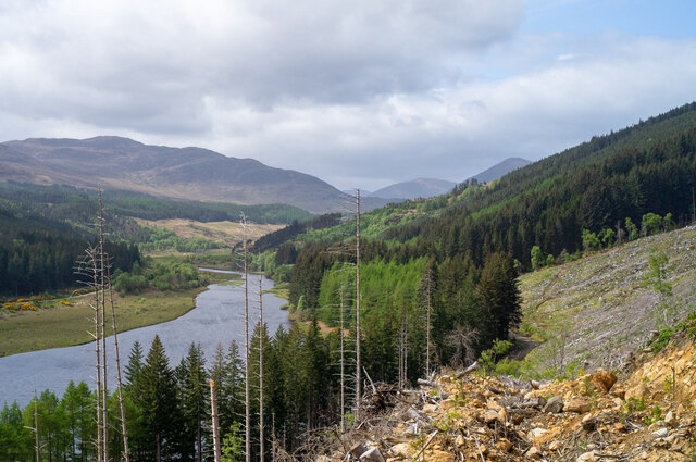In the area of cleared forest above Loch Meig
