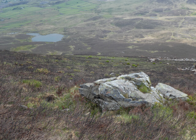 Maen ar Fynydd Mawr / A boulder on The Elephant