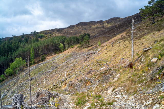 Hillside cleared of plantation conifers above Loch Meig