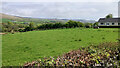 View to North Feorline from Torbeg