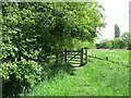 TL7199 : Bridleway close to the River Wissey, Stoke Ferry by Jonathan Thacker