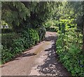 SO3121 : Dead-end side road, Stanton, Monmouthshire by Jaggery
