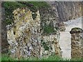NZ3964 : Seabird nesting cliff in Marsden Bay by Robert Graham