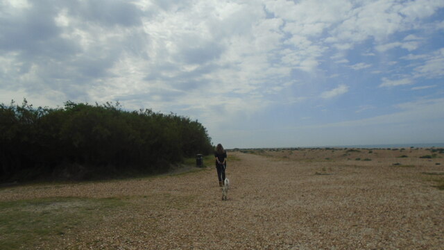 Walking the dog on a beach at Hayling