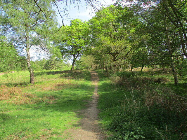 Footpath, Upper Hollesley Common © Jonathan Thacker :: Geograph Britain ...