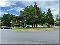 Roundabout, Paxton Green