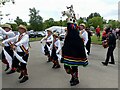 Folk Festival 2022, Tredegar House (6)