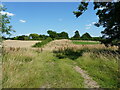 Former canal near Withington