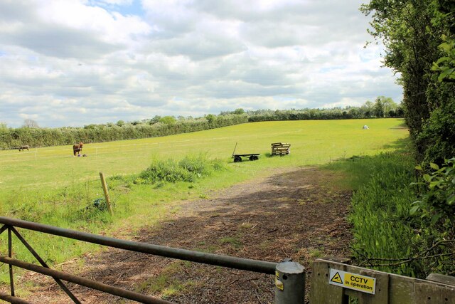 Horse field, Madingley Road, Dry Drayton