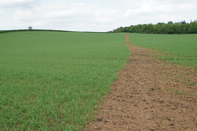 Footpath near Scarcliffe Grange