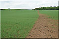 Footpath near Scarcliffe Grange