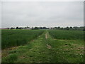 Footpath to Woolpit from Woolpit Green