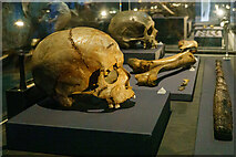 TQ2981 : Neolithic Skulls - "The World of Stonehenge", British Museum  by Roger Jones