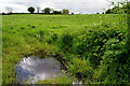 Water lying in field, Kilstrule