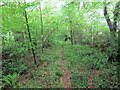 Llwybr i Alltybwla Hen / Path to Alltybwla Hen