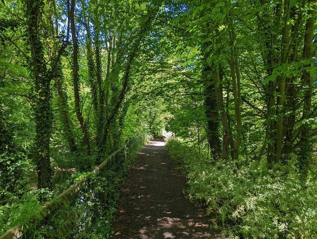 Path beside Broadfield Brook