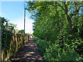 Path beside Broadfield Brook