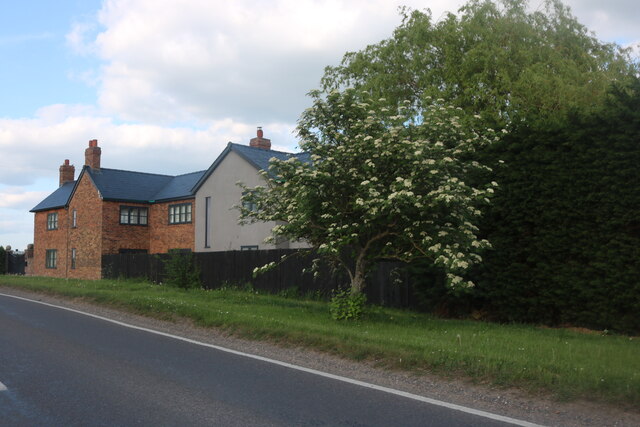 Houses on Bustard Hill, Tilbrook