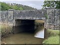 Bridge over Afon Eisingrug