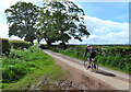 Cycling near Calthwaite