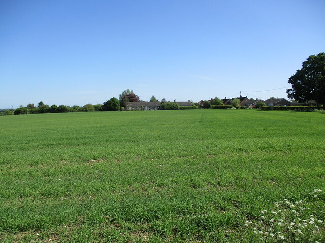 Spring sown cereal crop, Kersey