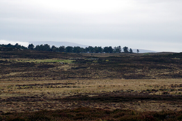 Looking across Acharry Moor
