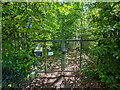 Gates to TV relay station compound, Woldhurstlea Wood