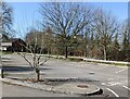 Deciduous trees in March, Frampton-on-Severn