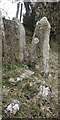 Stone Stile near Lurks Lane, Pitchcombe GS1032