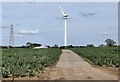 Wind turbine near Kibworth Beauchamp