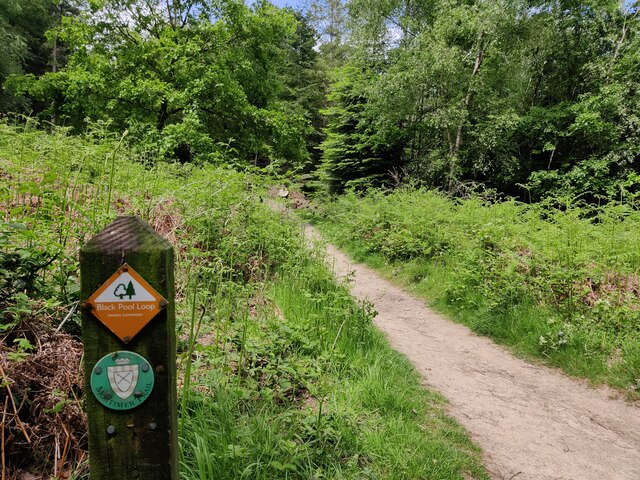 Mortimer Trail in the Mortimer Forest