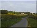 The road to Allerton Castle