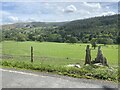 Farmland between the B5437 and the River Dee