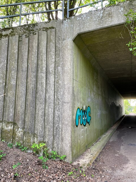 South Down Lane under the M3