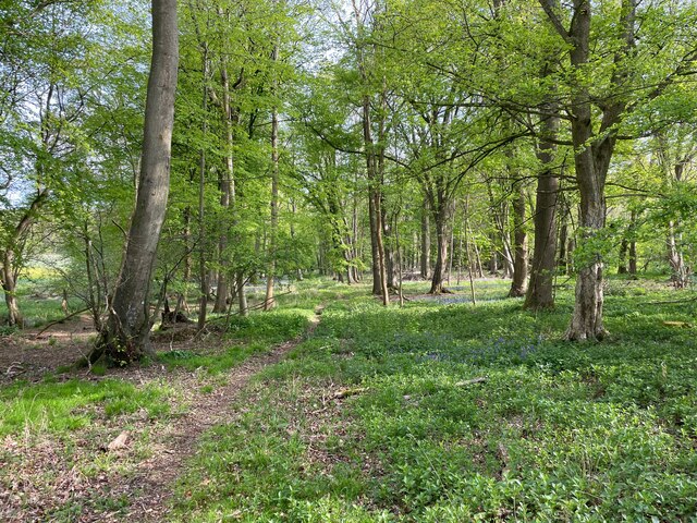 Path in Dodsley Wood