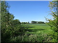 Fields close to Shelley Bridge