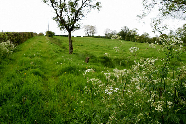 Countryside at Derroar