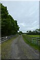 Cow Moor bridleway