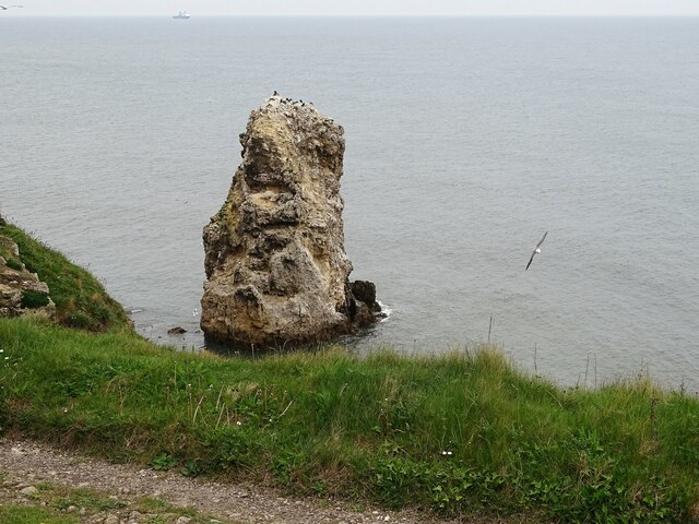 Rock stack in Marsden Bay