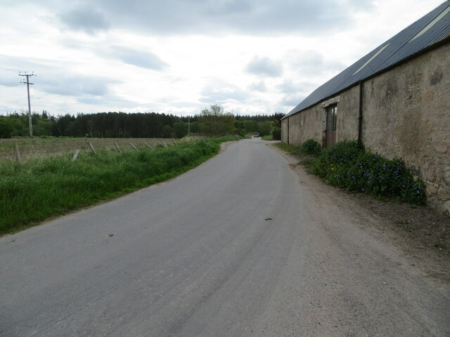Minor road at Tearie Farm