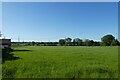 Field north of Hull Road