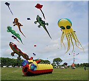 TA1968 : Kite festival, Sewerby Fields by JThomas