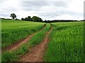 SO8892 : Field Path by Gordon Griffiths