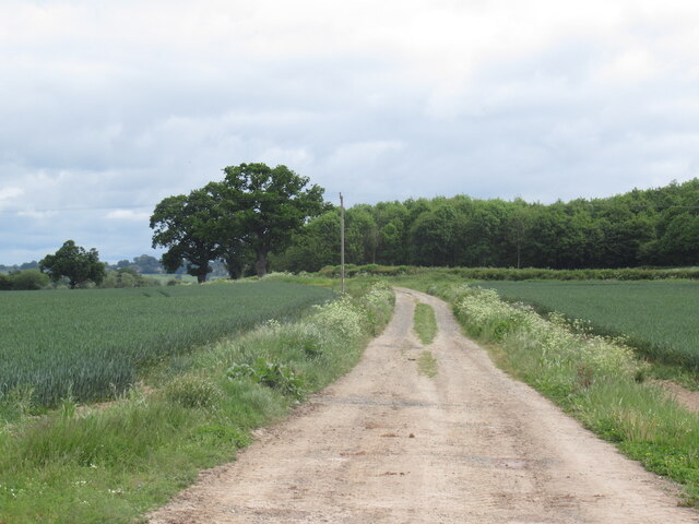 Farm road, Letton