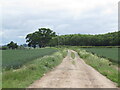 SO3446 : Farm road, Letton by Richard Webb